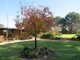 Photo - 166 Settlement Bridge Road, Canowindra NSW 2804 - Image 23