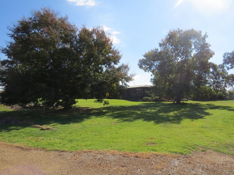 Photo - 166 Settlement Bridge Road, Canowindra NSW 2804 - Image 26