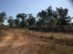 Photo - 1668 Leonino Road, Darwin River NT 0841 - Image 2