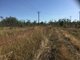 Photo - 1668 Leonino Road, Darwin River NT 0841 - Image 6