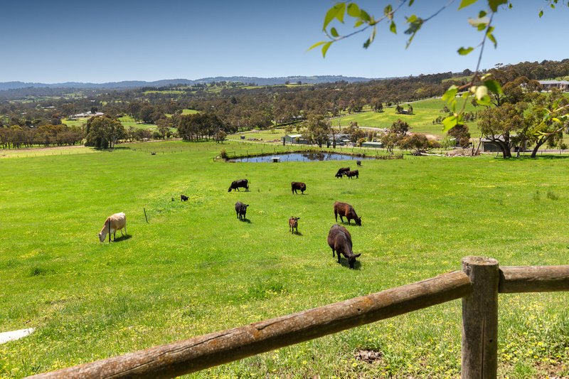 Photo - 167 - 173 Boundary Road, Narre Warren North VIC 3804 - Image 21