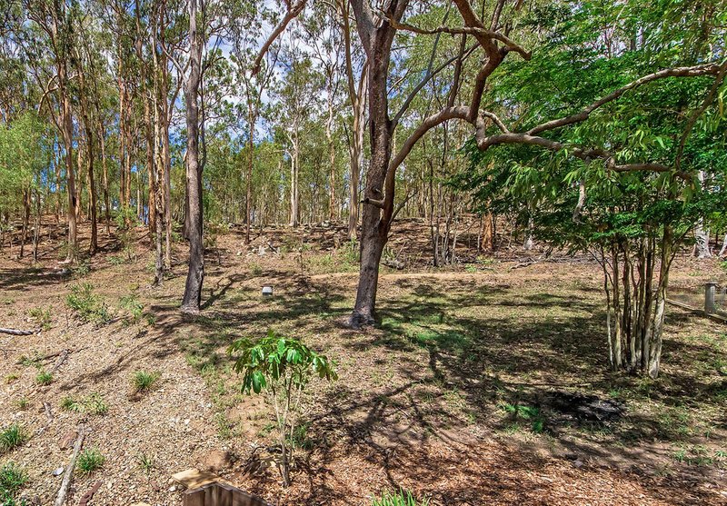 Photo - 167-179 Vonda Youngman Drive, Tamborine QLD 4270 - Image 23