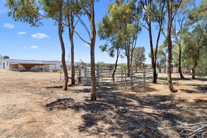 Photo - 167 Forest Road, Boweya North VIC 3675 - Image 18