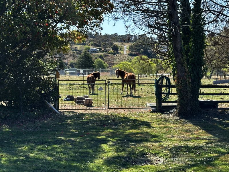 Photo - 167 Maybe Street, Bombala NSW 2632 - Image 7