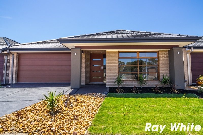 Photo - 167 Selandra Boulevard, Clyde North VIC 3978 - Image 1