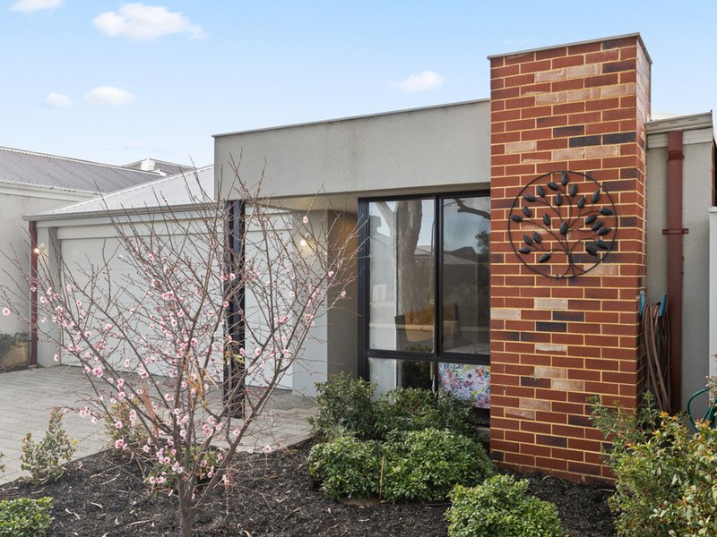 Photo - 167 Strinesdale Boulevard, Aveley WA 6069 - Image 24