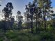 Photo - 1678 Gaeta Rd , Gaeta QLD 4671 - Image 17