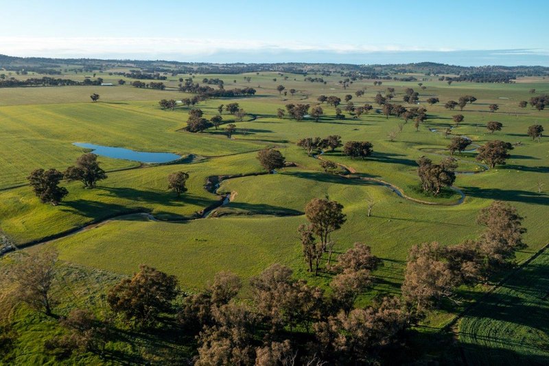 1679 Stockinbingal Road, Cootamundra NSW 2590