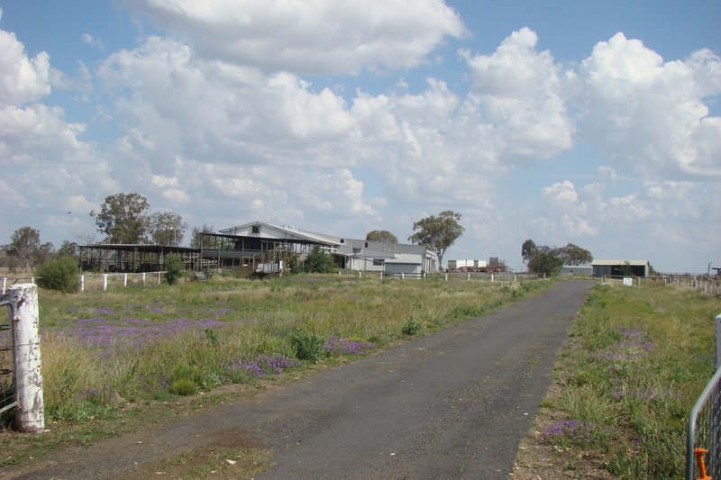 Photo - 168 Boundary Road, Pittsworth QLD 4356 - Image 4