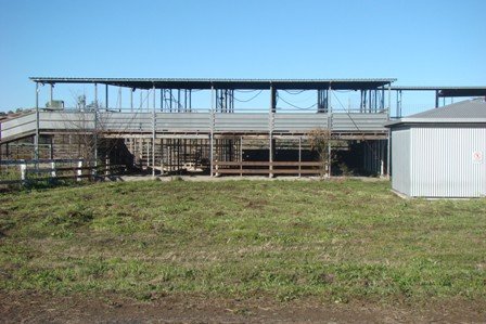 Photo - 168 Boundary Road, Pittsworth QLD 4356 - Image 12