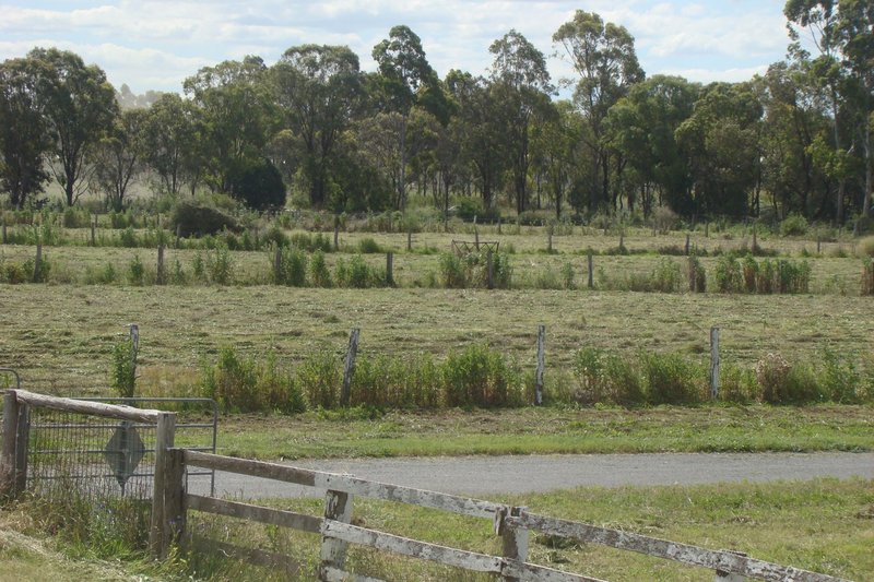 Photo - 168 Boundary Road, Pittsworth QLD 4356 - Image 6