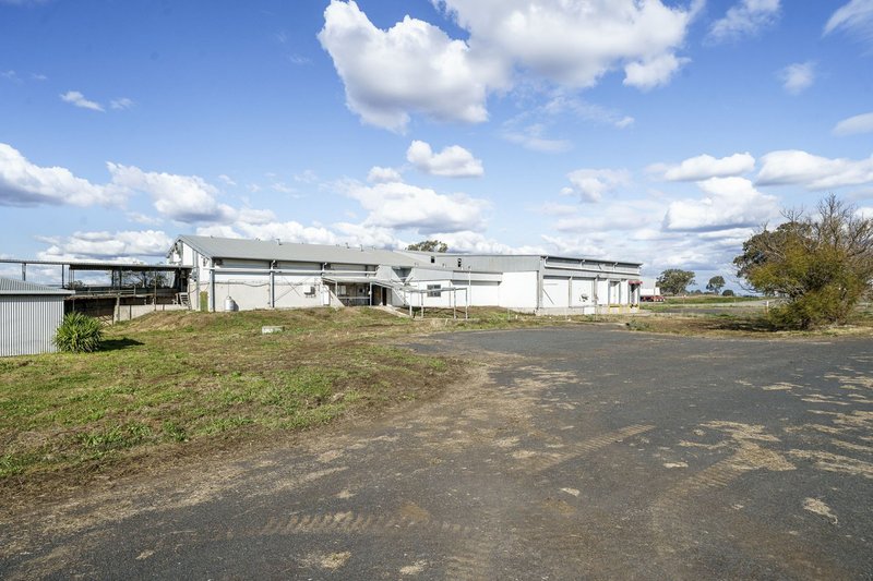 Photo - 168 Boundary Road, Pittsworth QLD 4356 - Image 10