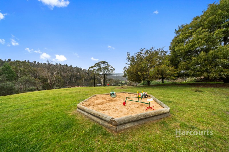 Photo - 168 Horners Road, Elderslie TAS 7030 - Image 32