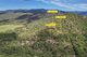 Photo - 168 Probert Road, Bambaroo QLD 4850 - Image 1