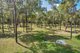 Photo - 168 Probert Road, Bambaroo QLD 4850 - Image 3