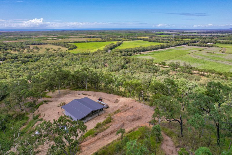 Photo - 168 Probert Road, Bambaroo QLD 4850 - Image 4