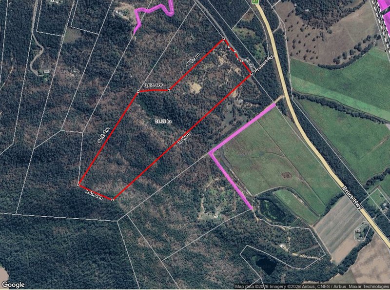 Photo - 168 Probert Road, Bambaroo QLD 4850 - Image 7