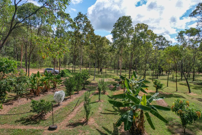 Photo - 168 Probert Road, Bambaroo QLD 4850 - Image 8