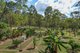 Photo - 168 Probert Road, Bambaroo QLD 4850 - Image 8