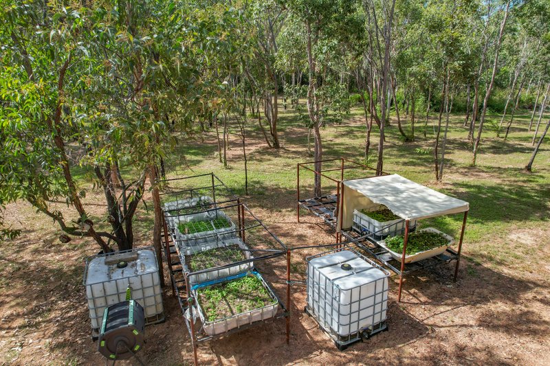 Photo - 168 Probert Road, Bambaroo QLD 4850 - Image 9