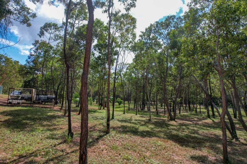 Photo - 168 Probert Road, Bambaroo QLD 4850 - Image 11