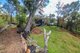 Photo - 168 Probert Road, Bambaroo QLD 4850 - Image 29