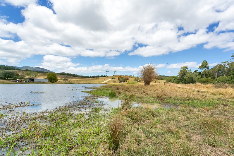 Photo - 168 Stoney Creek Road, Speewah QLD 4881 - Image 9