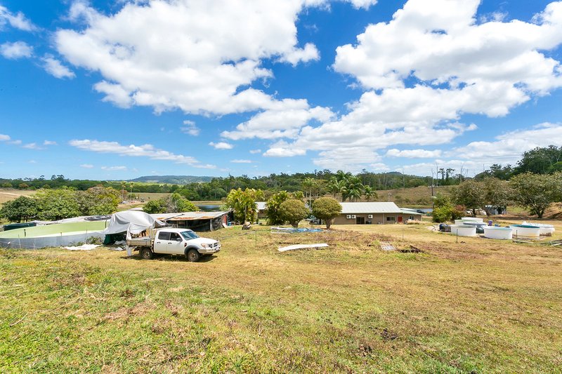 Photo - 168 Stoney Creek Road, Speewah QLD 4881 - Image 8