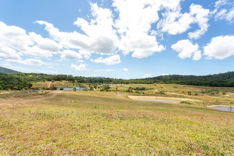 Photo - 168 Stoney Creek Road, Speewah QLD 4881 - Image 6