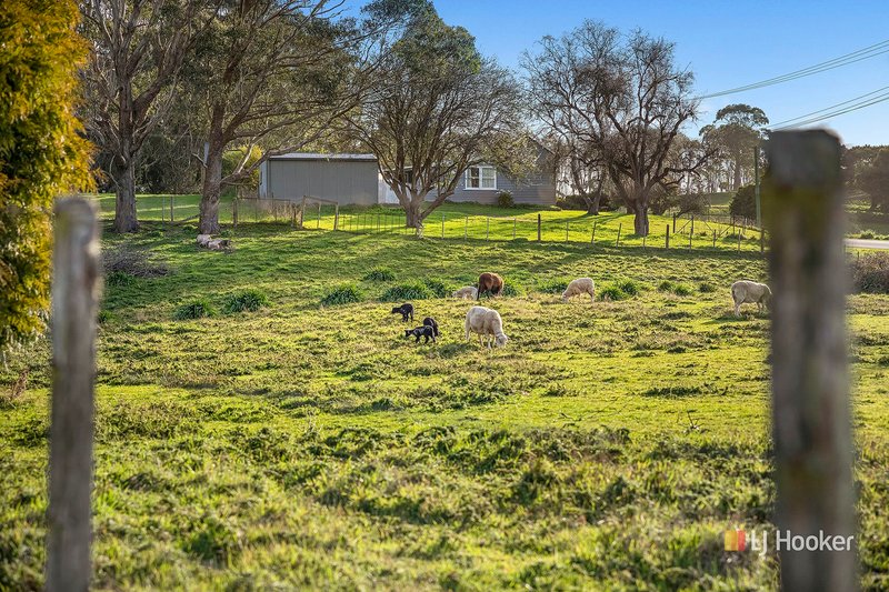 Photo - 16817 Bass Highway, Flowerdale TAS 7325 - Image 9