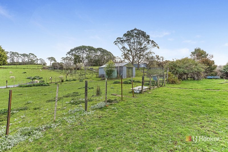 Photo - 16817 Bass Highway, Flowerdale TAS 7325 - Image 10