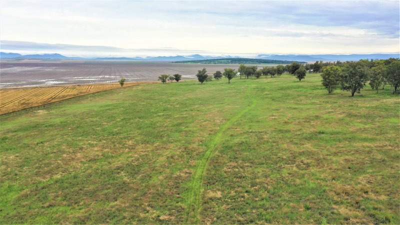 Photo - 1682 Warrah Ridge Road, Quirindi NSW 2343 - Image 7