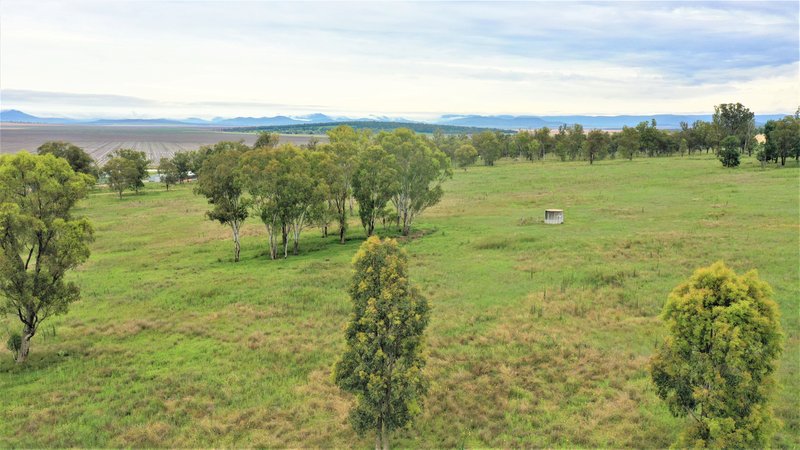 Photo - 1682 Warrah Ridge Road, Quirindi NSW 2343 - Image 8