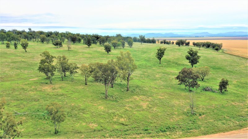 Photo - 1682 Warrah Ridge Road, Quirindi NSW 2343 - Image 11