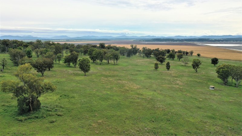 Photo - 1682 Warrah Ridge Road, Quirindi NSW 2343 - Image 17