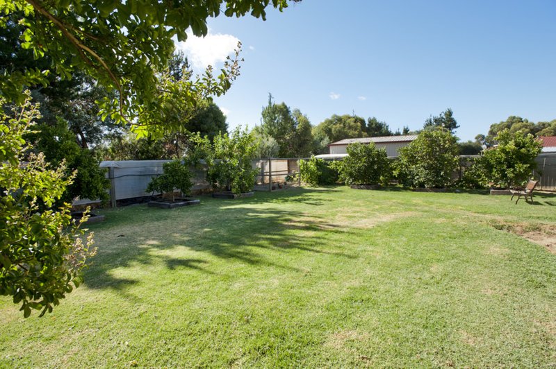 Photo - 169 Capel Drive, Capel WA 6271 - Image 18