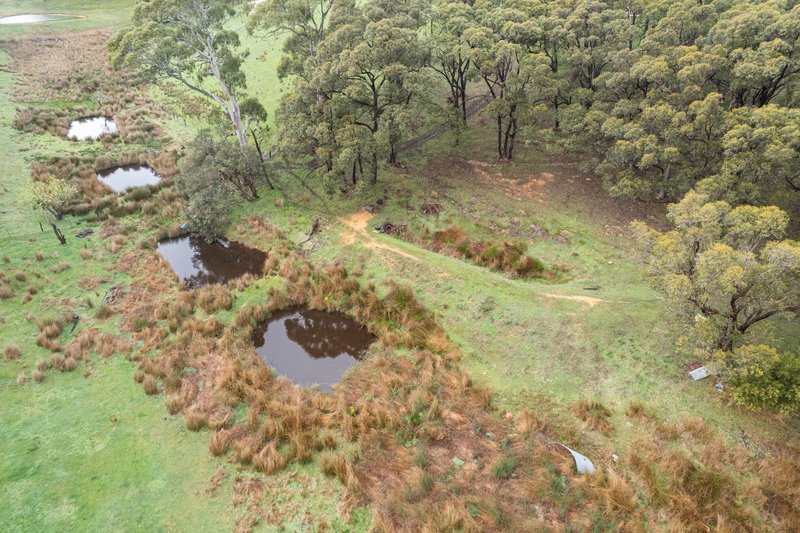 Photo - 169 Carey Gully Road, Mount George SA 5155 - Image 34