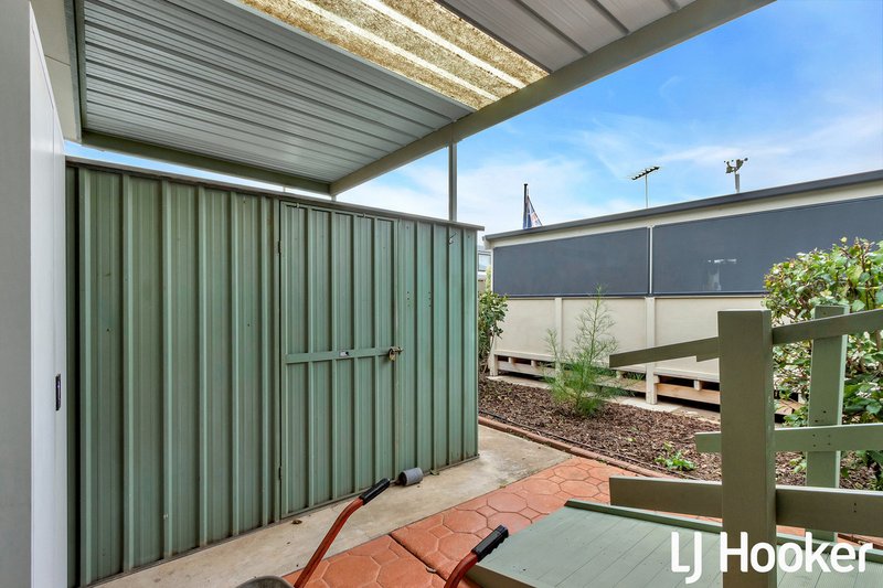 Photo - 169 Casuarina Crescent, Hillier Park, Hillier SA 5116 - Image 16