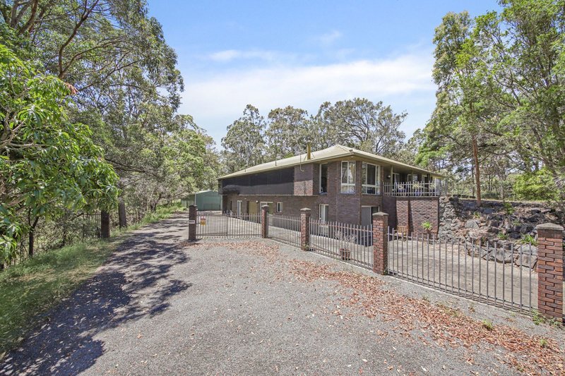 Photo - 169 Colman Road, Coomera QLD 4209 - Image 7