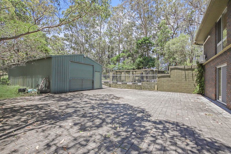 Photo - 169 Colman Road, Coomera QLD 4209 - Image 9