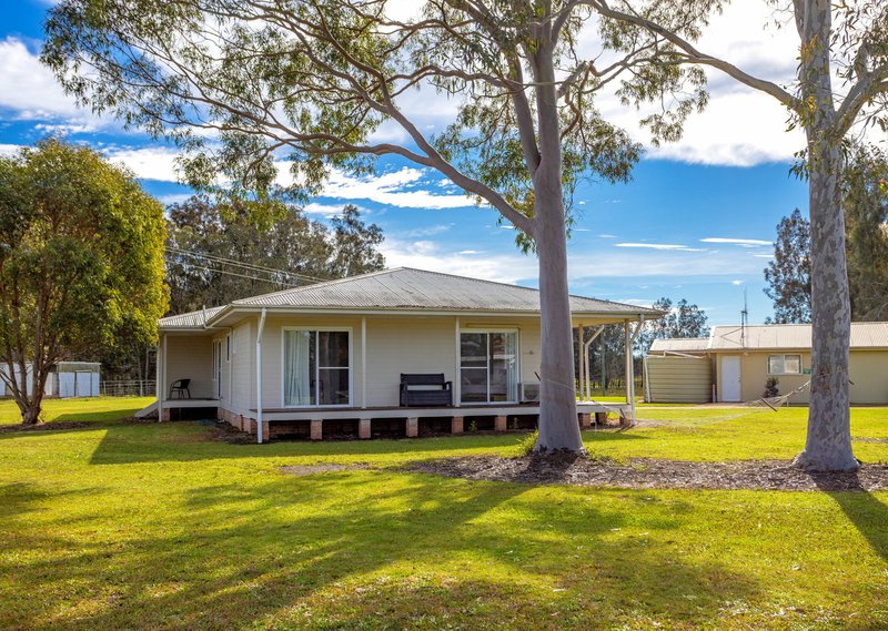 Photo - 169 Cowans Lane, Oxley Island NSW 2430 - Image 20