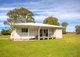 Photo - 169 Cowans Lane, Oxley Island NSW 2430 - Image 21