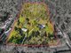 Photo - 169 Lamington National Park Road, Canungra QLD 4275 - Image 2