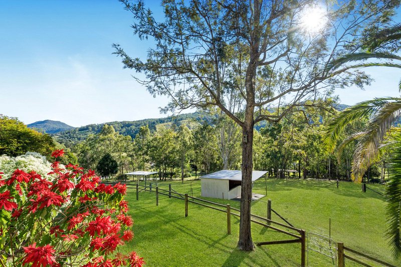 Photo - 169 Lamington National Park Road, Canungra QLD 4275 - Image 15