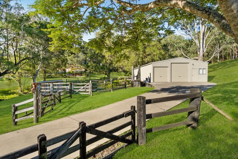 Photo - 169 Lamington National Park Road, Canungra QLD 4275 - Image 16