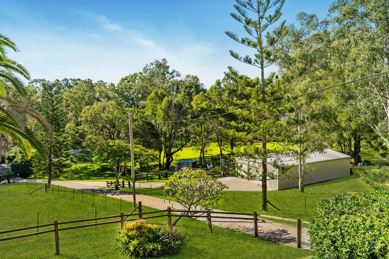 Photo - 169 Lamington National Park Road, Canungra QLD 4275 - Image 19