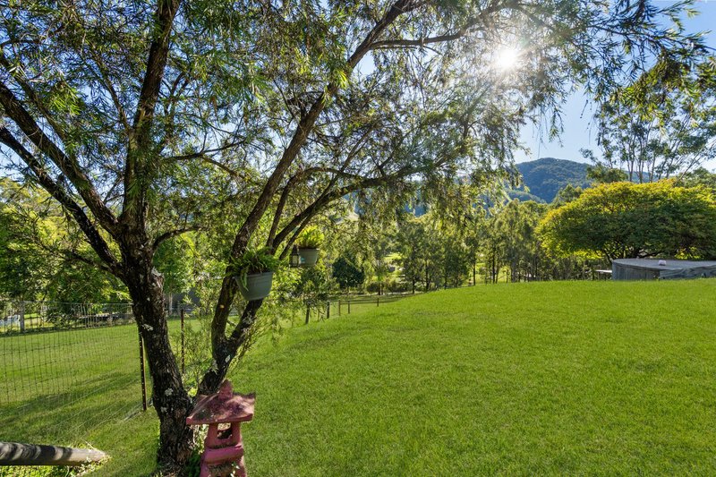 Photo - 169 Lamington National Park Road, Canungra QLD 4275 - Image 22