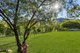 Photo - 169 Lamington National Park Road, Canungra QLD 4275 - Image 22