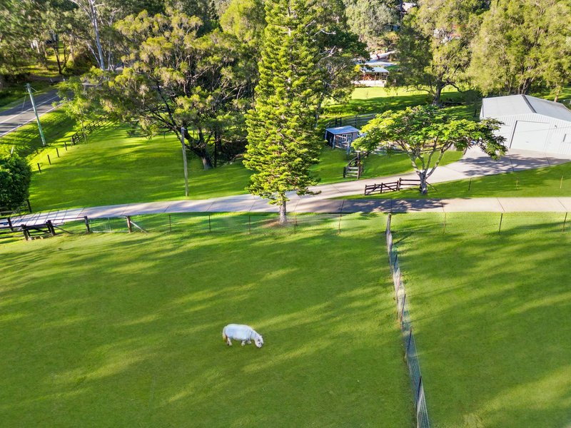 Photo - 169 Lamington National Park Road, Canungra QLD 4275 - Image 24