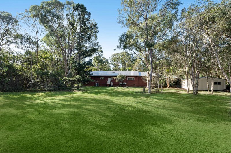 Photo - 169 Rickertt Road, Ransome QLD 4154 - Image 9